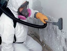 Best Mold Removal for HVAC Installations in Wrightwood, CA